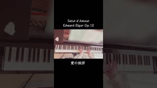 Download lagu E.Elgar-愛の挨拶 Salut d'amour(Op.12)piano mp3 Download lagu E.Elgar-愛の挨拶 Salut d'amour(Op.12)piano mp3