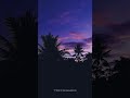 Purple Sky Gets My Vibes So High