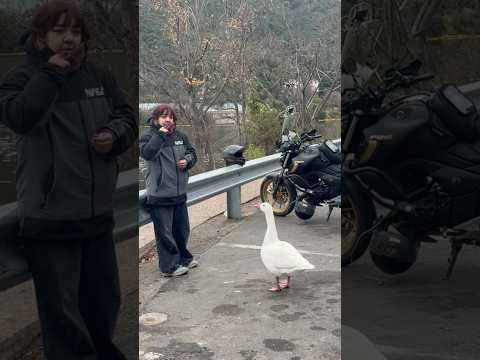 LO QUE EMPEZÓ COMO UNA TRANQUILA SALIDA EN MOTO TERMINÓ SIENDO UNO DE LOS MOTOVLOGS MÁS DIVERTIDOS