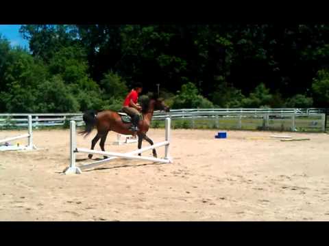 Drisana riding Ziggy.