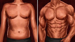 How To Build a Muscular Body