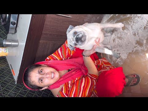 Top 10 comedy clips 2025 🤣😝 