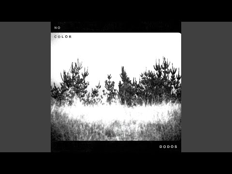 Don't Try and Hide It - The Dodos