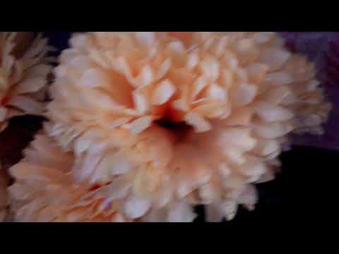 download lagu mp3 mp4 Foller, download lagu Foller gratis, unduh video klip Foller