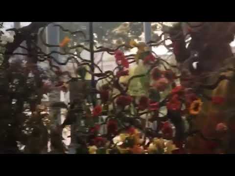 Keisengan yang Gemeezz😂 #RogerChika #HoneyMoonSG #MyFavCouple #CoupleTer💙2019🌞