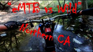 "eMTB vs Wild" - Dan' s Wild Ride Trail.