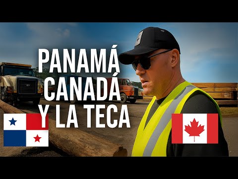 TEAK TITANS – EP.1: Inside the Chiriquí San Lorenzo Sawmill (Real-Life Forestry in Action)