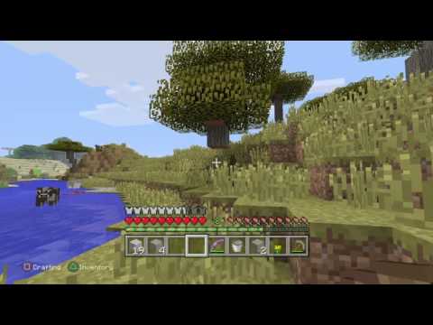 I found a diamond stray mining