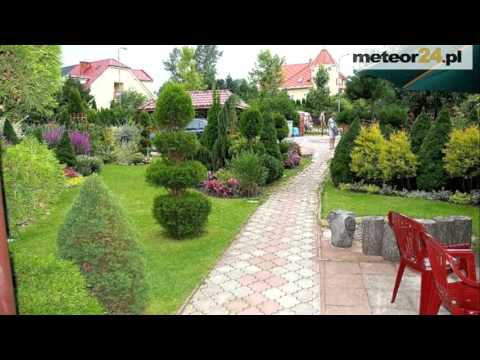 Pokoje Gościnne Olszynka - Trzęsacz meteor24.pl