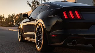 Pedders Ford Musang S550 Performance Suspension