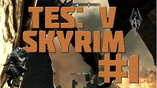 TES V: Skyrim #1 | ИМПЕРСКИЕ УБЛЮДКИ