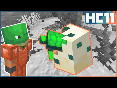 Turtle's Paradise! [10] Hermitcraft 11