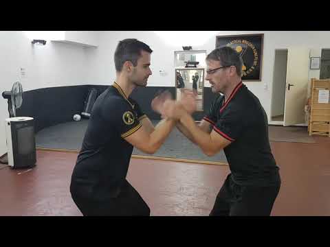 Wan Kam Leung Practical Wing Chun Kung Fu - ChiSao Privat Lesson - Sifu Hajukan