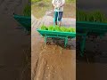 Manual Rice Transplanter Short Video Manual Rice Transplanter Philippines