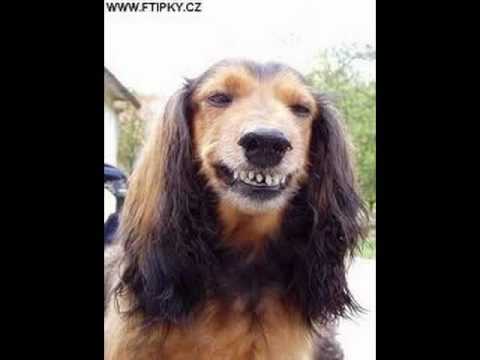 Jaromír Nohavica - Mámo,svaž mi můj ranec