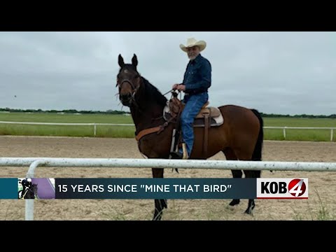 15 years since Mine That Bird's Kentucky Derby win