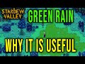 GREEN RAIN - WHAT IT DOES AND HOW TO BENEFIT FROM IT - Stardew Valley 1.6