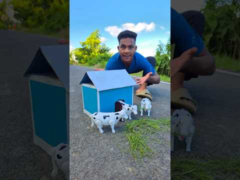 Mini Cow 🐄 house 🏠 #cows