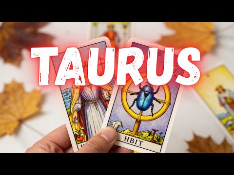 TAURUS 👀SOMEONE HAS CHANGED THEIR VIEW OF YOU…💭THE WHOLE TRUTH IS ABOUT TO BE REVEALED💥February