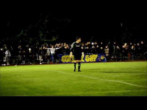 TV Meckelfeld - VFL Maschen 4:1  29.09.2021