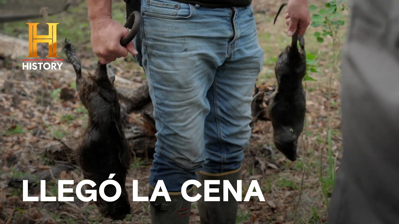 ¿Cómo sobrevivir a la noche en el pantano del Diablo? – MISTERIOS DEL PANTANO