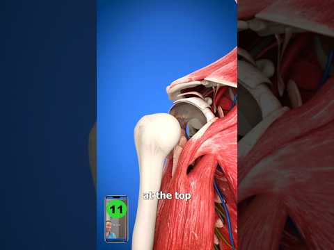 Heal A Shoulder DISLOCATION!😳