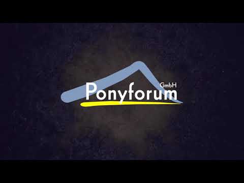 4j. brauner Wallach v. A Gorgeous – Lucky Strike