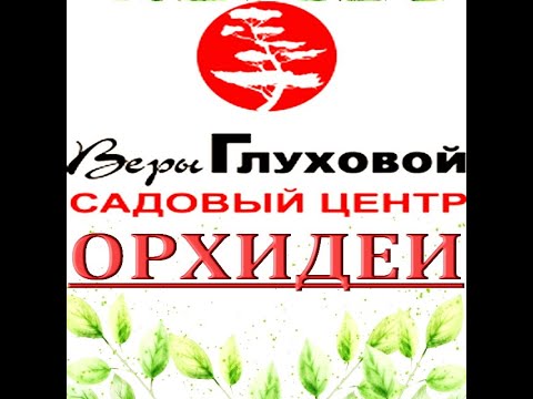 Чудесный ЗАВОЗ ОРХИДЕЙ в Садовом центре ВЕРЫ ГЛУХОВОЙ,Самара,ул. Ташкентская,173.
