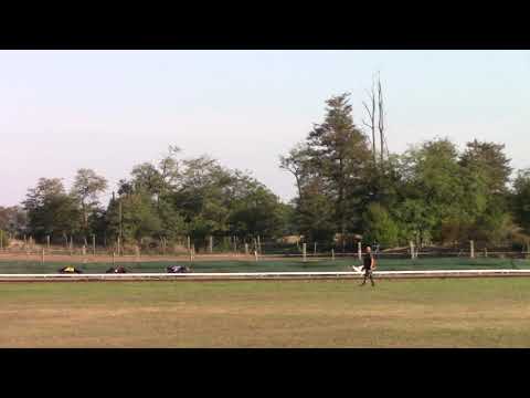 European Derby final - Isaszeg Park 03.10.2021