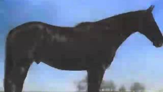 Godley &amp; Creme - Samson (Dance Mix)