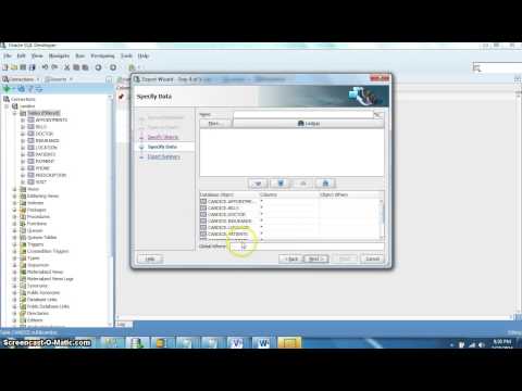 Oracle Database Script Export