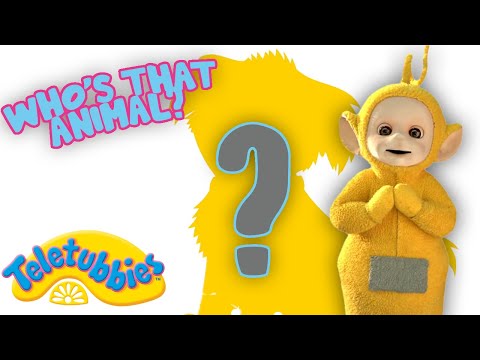 Teletubbies | Learning About Different Pets With The Teletubbies | Shows for Kids