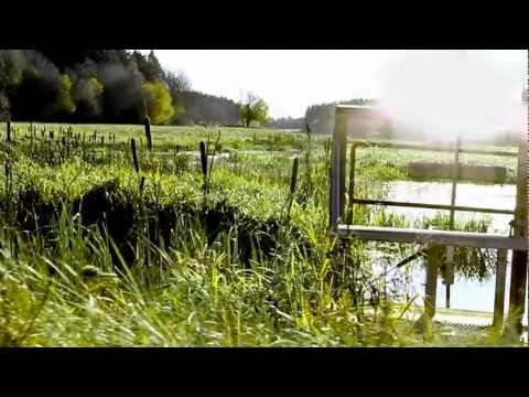 Kioskmongo.se -Volvo tribute