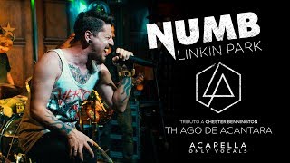 Linkin Park - Numb (Acapella Thcsinger) Only vocals
