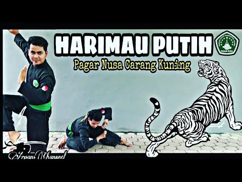 download lagu mp3 mp4 Video Silat Macan Putih, download lagu Video Silat Macan Putih gratis, unduh video klip Video Silat Macan Putih