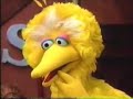Sesame Street Scenes From Episode 3518