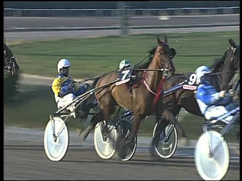 Trotto 24/12/2015 - 2° corsa