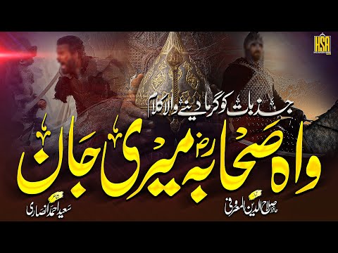 Top Motivational Kalam | Wah Sahaba | Hafiz Salahuddin Al Maroofi Official | New Manqabat 2021