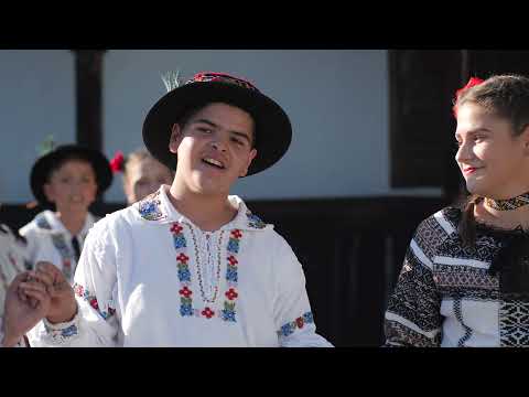 Rares Pieptanar - Frunza verde lemn domnesc