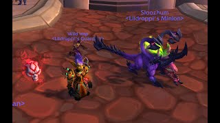 How to get the Purple Dreadhound Customization for Warlocks, Full Dungeon Guide