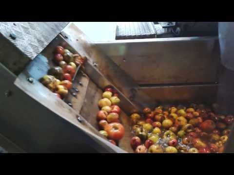 , title : '2013 Cider Production:'