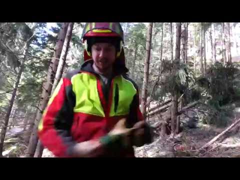 Wie man Hänger vermeiden und fällen kann - How to fell a tree and avoid a hung up tree.