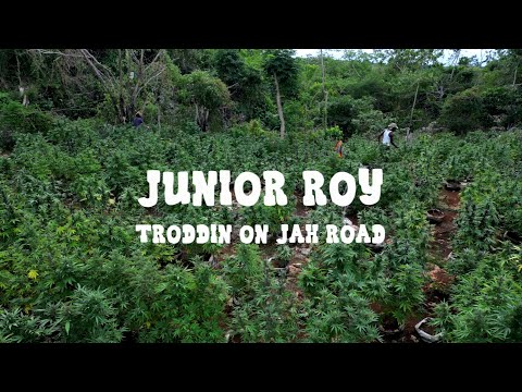 Junior Roy & Dub Shepherds - Trodding On Jah Road (Official Video Clip) @BATRecordsProd