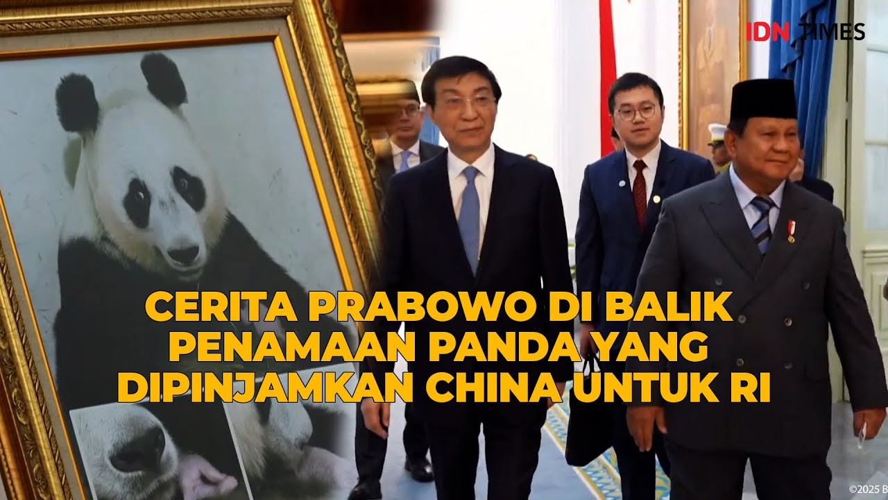 [Top News] Cerita Prabowo di Balik Penamaan Panda yang Dipinjamkan China untuk RI