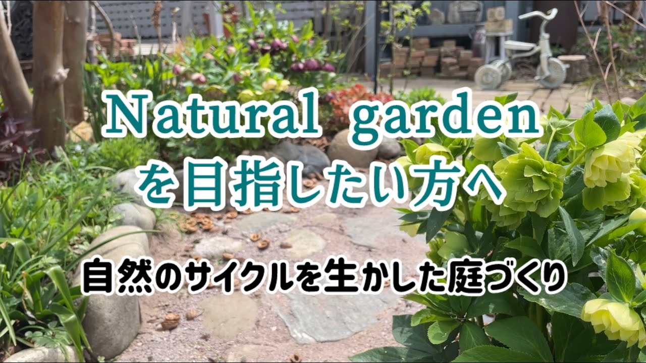 【自然循環型庭づくりの必須アイテムと作業】ストチユウ水・堆肥箱・米ぬか・クルカラと春先にやる作業紹介