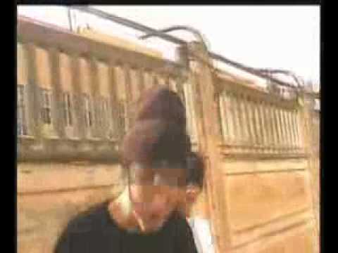 East Ground   Nasha Banda  2005