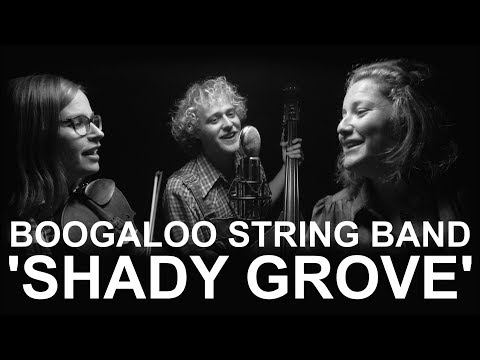 download lagu mp3 mp4 Boogaloo String Band, download lagu Boogaloo String Band gratis, unduh video klip Boogaloo String Band