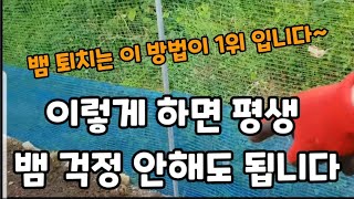 전원주택 뱀 퇴치! 100프로 차단 이렇게 하면 평생 뱀 걱정! 안해요~#뱀퇴치하는방법 #뱀쫒아내는방법 #뱀…
