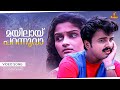 Mayilaay Parannuvaa Video Song Berny Ignatius Kunchacko Boban Jomol Mailpeelikkavu