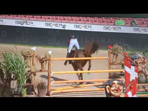 Kevin Staut chute Herning CSO 2022 caída fall #jumping #championship #cso #fall